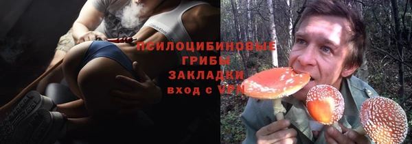 бошки Аркадак