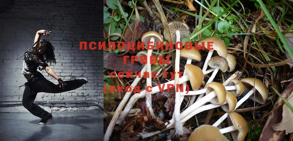 амфетамин Алексин