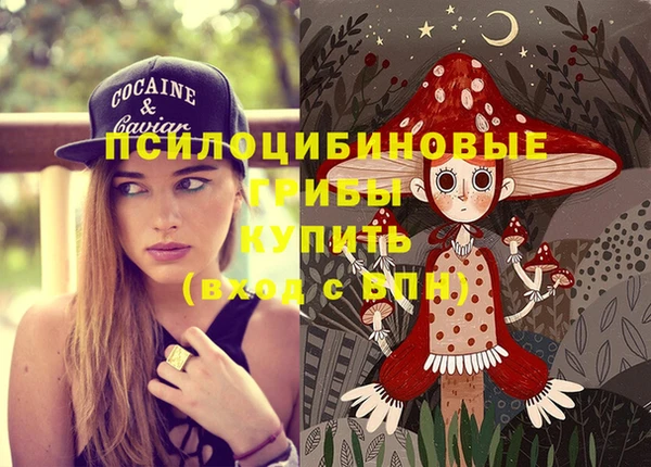 бошки Аркадак