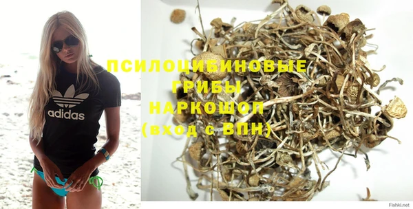 бошки Аркадак
