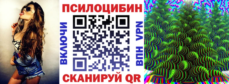 Галлюциногенные грибы Psilocybine cubensis  Нововоронеж 