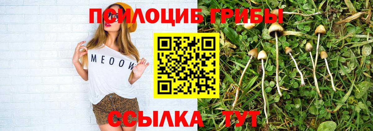 Псилоцибиновые грибы ЛСД Нововоронеж